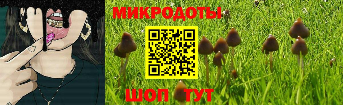 Псилоцибиновые грибы GOLDEN TEACHER Сегежа